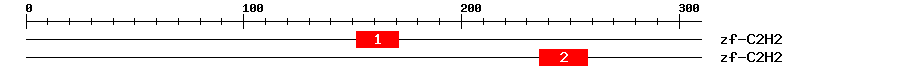 Signature Domain