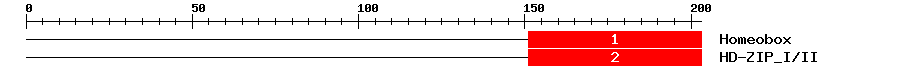 Signature Domain