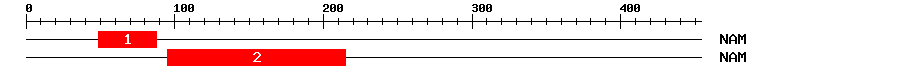 Signature Domain