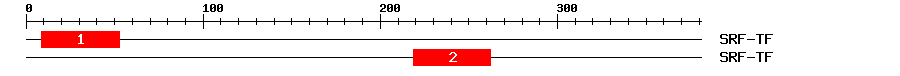 Signature Domain