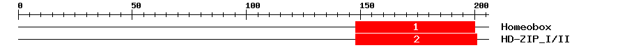 Signature Domain