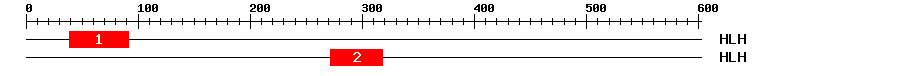 Signature Domain