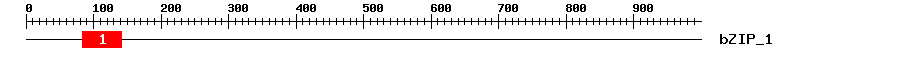 Signature Domain