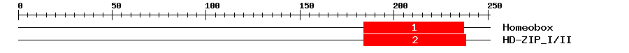Signature Domain