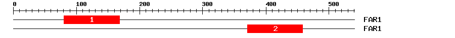 Signature Domain