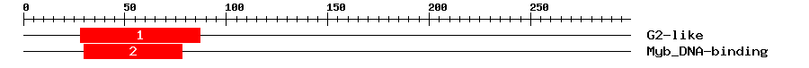 Signature Domain