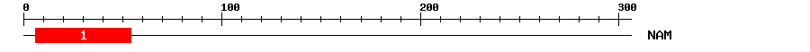 Signature Domain