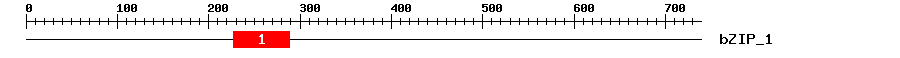 Signature Domain