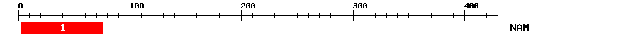 Signature Domain
