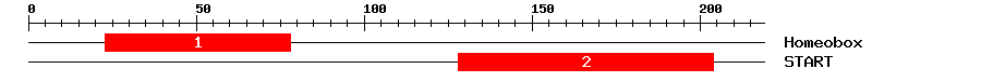Signature Domain