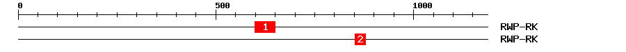 Signature Domain