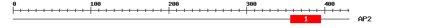 Signature Domain