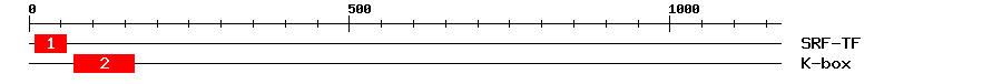 Signature Domain