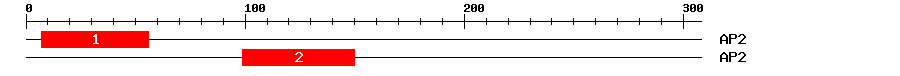 Signature Domain