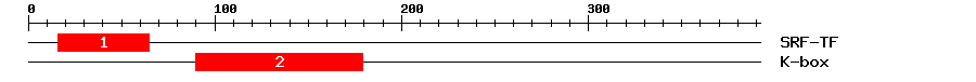 Signature Domain