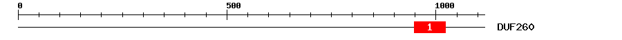 Signature Domain