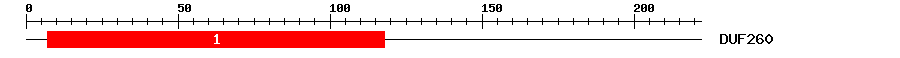 Signature Domain