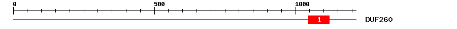 Signature Domain