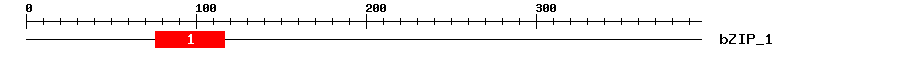 Signature Domain