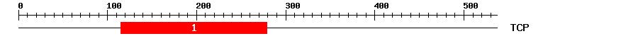 Signature Domain