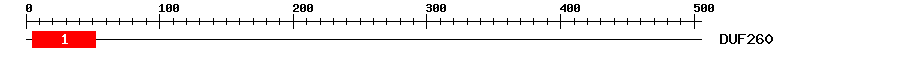 Signature Domain