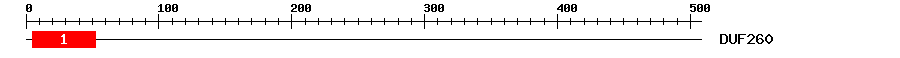 Signature Domain