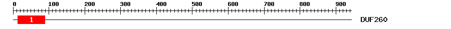Signature Domain