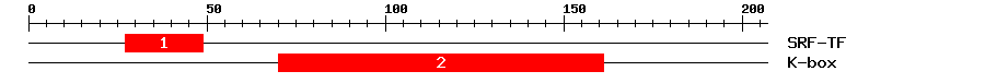 Signature Domain