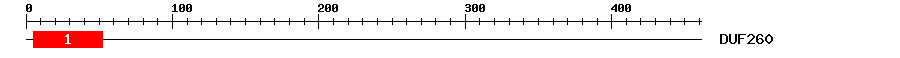 Signature Domain