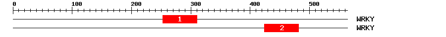 Signature Domain
