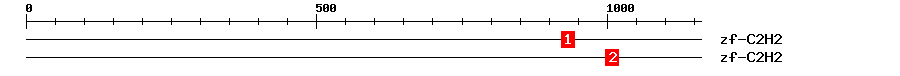 Signature Domain