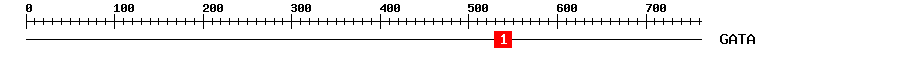 Signature Domain