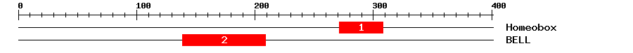 Signature Domain