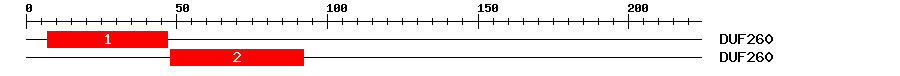 Signature Domain