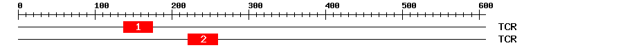 Signature Domain