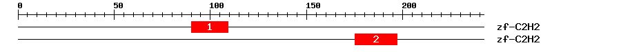Signature Domain