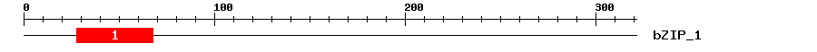 Signature Domain