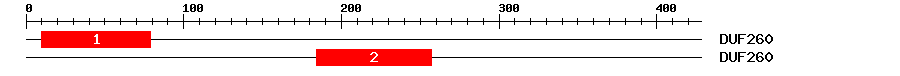 Signature Domain