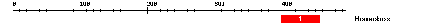 Signature Domain
