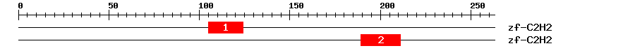Signature Domain