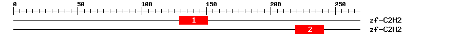 Signature Domain