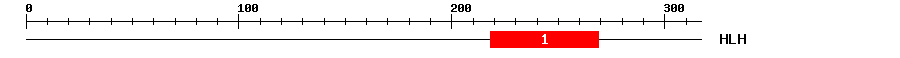 Signature Domain