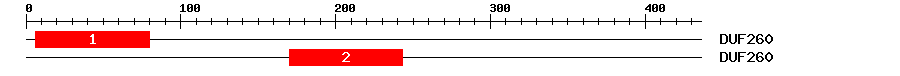 Signature Domain