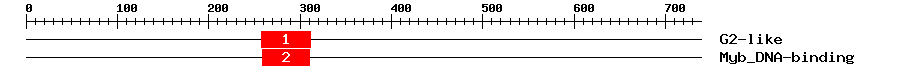 Signature Domain