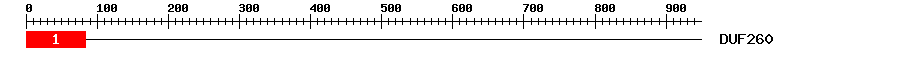 Signature Domain