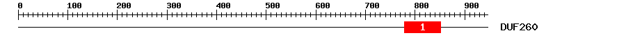 Signature Domain