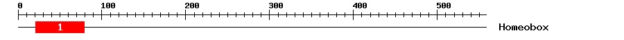 Signature Domain