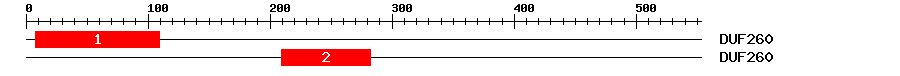 Signature Domain