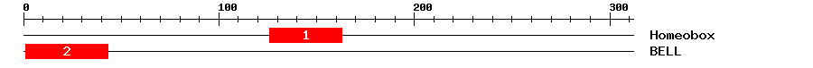 Signature Domain