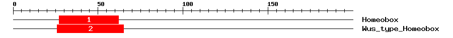 Signature Domain